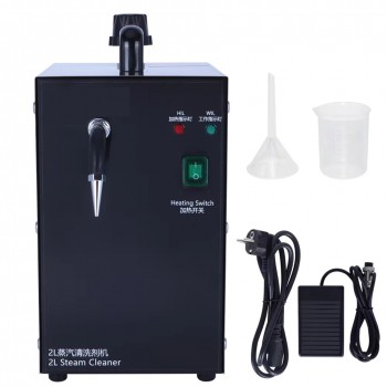 1300W 2L Stainless Steel Jewelry Steam Cleaning Machine for Gold Silver