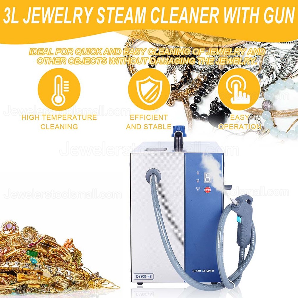 3L 2200W Portable Jewelry Steam Cleaner Machine with Steam Gun ...